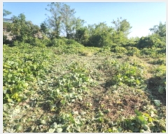  2024Ÿ563588 õ ȭ ȭ  923-27      (Ӿ)