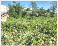  2024Ÿ563588 õ ȭ ȭ  923-27      (Ӿ)