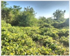  2024Ÿ563588 õ ȭ ȭ  923-27      (Ӿ)