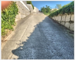  2024Ÿ563588 õ ȭ ȭ  923-27      (Ӿ)