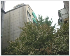  2024Ÿ��565263  �ټ���(����)���