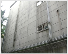  2024Ÿ��565263  �ټ���(����)���