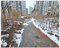  2024Ÿ��576041  ����Ʈ���