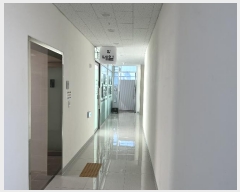  2024Ÿ578863 õ Ȧ żȦ 262, 1616013ȣ (͵,Ƽʵ)     ,繫ǰ