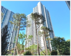  2024Ÿ6252 õ  ѵ 33, 113 191905ȣ (鼮,˾ϿοũƼǪ1)    Ʈ