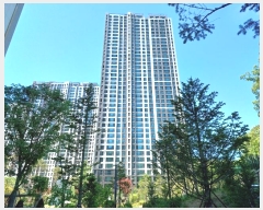  2024Ÿ6252 õ  ѵ 33, 113 191905ȣ (鼮,˾ϿοũƼǪ1)    Ʈ