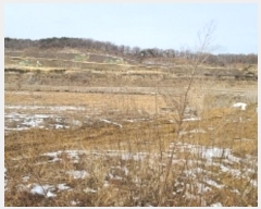  2024Ÿ��506141  �����