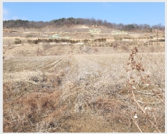  2024Ÿ��506141  �����