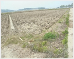  2024Ÿ��525227 ��õ ��ȭ�� ������ �λ縮 1008-1      ����(��)���