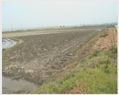  2024Ÿ��525227 ��õ ��ȭ�� ������ �λ縮 1008-1      ����(��)���