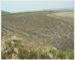  2024Ÿ��525227 ��õ ��ȭ�� ������ �λ縮 1008-1      ����(��)���