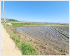  2024Ÿ��525227 ��õ ��ȭ�� ������ �λ縮 1008-1      ����(��)���