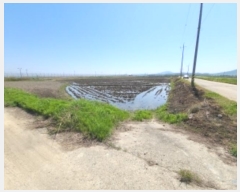  2024Ÿ��525227 ��õ ��ȭ�� ������ �λ縮 1008-1      ����(��)���