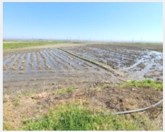  2024Ÿ��525227 ��õ ��ȭ�� ������ �λ縮 1008-1      ����(��)���