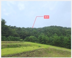  2024Ÿ549377 õ  ϵ  178      (Ӿ)