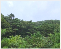  2024Ÿ549377 õ  ϵ  178      (Ӿ)