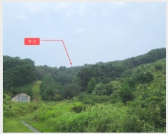  2024Ÿ549377 õ  ϵ  178      (Ӿ)