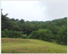  2024Ÿ549377 õ  ϵ  178      (Ӿ)