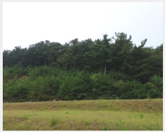  2024Ÿ549377 õ  ϵ  178      (Ӿ)