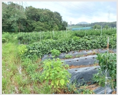  2024Ÿ551097 õ  õ 74-10       ()