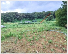  2024Ÿ551097 õ  õ 74-10       ()