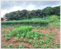  2024Ÿ551097 õ  õ 74-10       ()