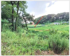  2024Ÿ551097 õ  õ 74-10       ()