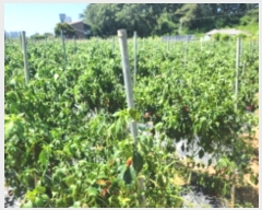  2024Ÿ551097 õ  õ 74-10       ()