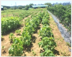  2024Ÿ551097 õ  õ 74-10       ()