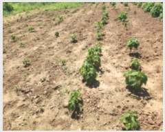  2024Ÿ551097 õ  õ 74-10       ()