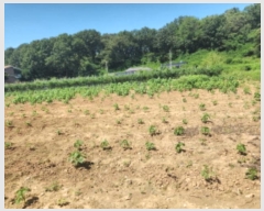  2024Ÿ551097 õ  õ 74-10       ()