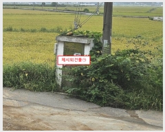  2024Ÿ��560008  �����