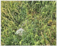  2024Ÿ��560008  �����