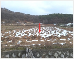  2024Ÿ566549 õ ȭ   49-1      ()