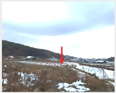  2024Ÿ566549 õ ȭ   49-1      ()