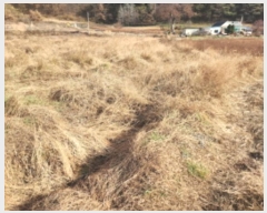  2024Ÿ566549 õ ȭ   49-1      ()