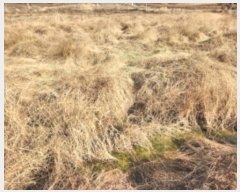  2024Ÿ566549 õ ȭ   49-1      ()