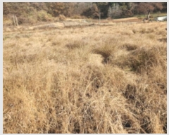  2024Ÿ566549 õ ȭ   49-1      ()