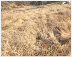  2024Ÿ566549 õ ȭ   49-1      ()