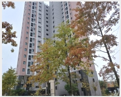  2024Ÿ��567184  ����Ʈ���