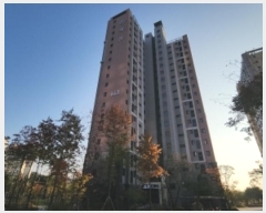  2024Ÿ��567184  ����Ʈ���