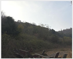  2024Ÿ��568361 ��õ ��籸 ������ ��40       ����(�Ӿ�)���