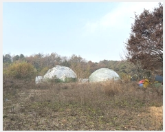  2024Ÿ��568361 ��õ ��籸 ������ ��40       ����(�Ӿ�)���