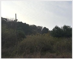  2024Ÿ��568361 ��õ ��籸 ������ ��40       ����(�Ӿ�)���