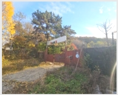  2024Ÿ��568361 ��õ ��籸 ������ ��40       ����(�Ӿ�)���