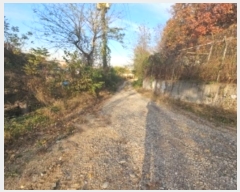  2024Ÿ��568361 ��õ ��籸 ������ ��40       ����(�Ӿ�)���