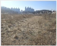  2024Ÿ��579712  �����