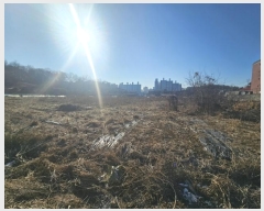  2024Ÿ��579712  �����