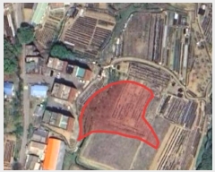  2024Ÿ��579712  �����