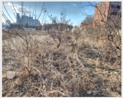  2024Ÿ��579712  �����